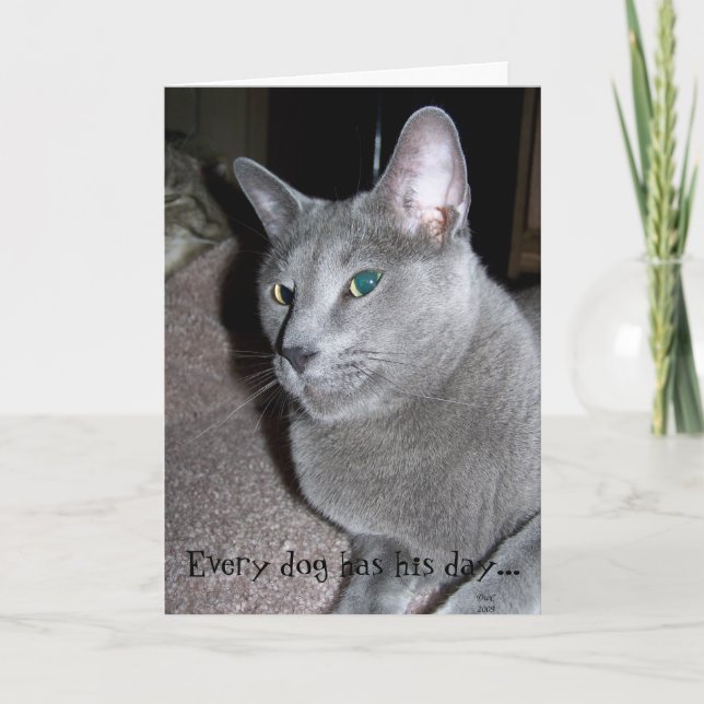 Every Dog Card (Front)