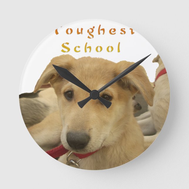 Every Dog Has iTS  DAY  Hakuna Matata Happy days a Round Clock (Front)