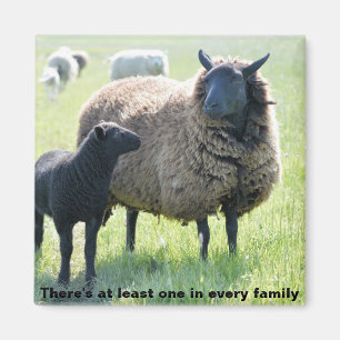 Every family has a black sheep magnet