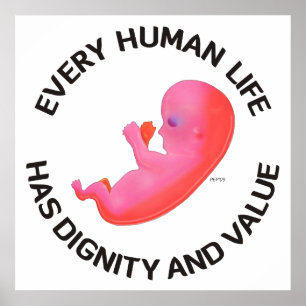 Every Human Life Poster