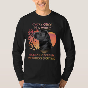 Every Once In A While A Black Labrador Enters You T-Shirt