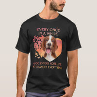 Every Once In A While A Welsh Springer Spaniel Ent