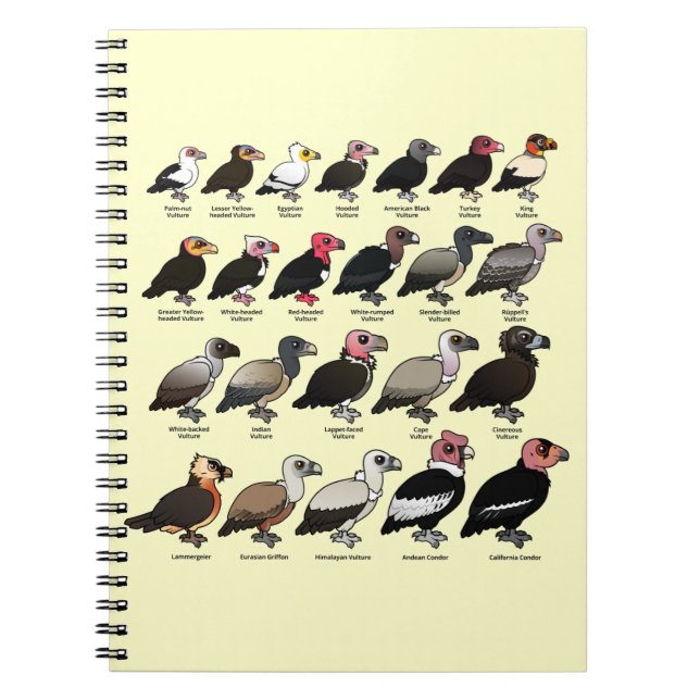 Every Vulture Notebook (Front)