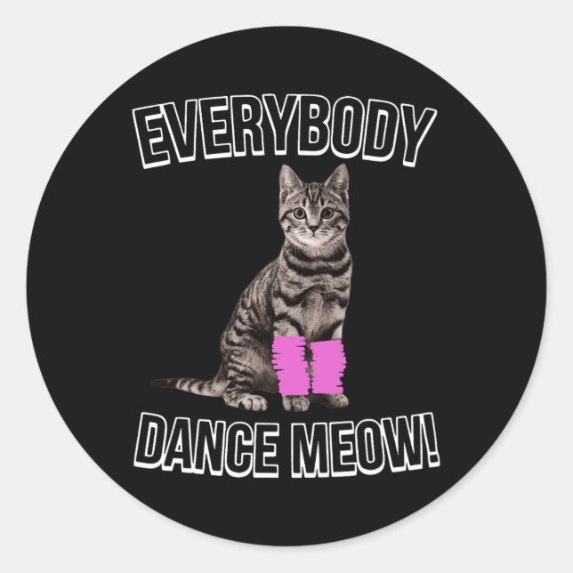 Everybody Dance Meow Kitten Cat Funny Dancing Cat  Classic Round Sticker (Front)