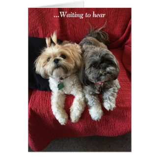 Everyday Cards/ Grace & Glory