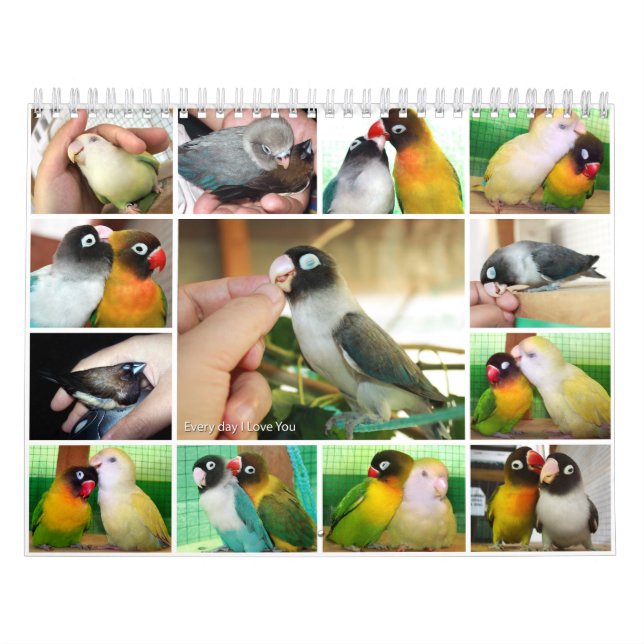 Everyday I love you Calendar (Cover)