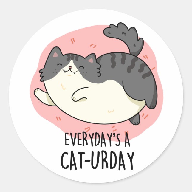 Everyday's A Cat-urday Funny Cat Pun  Classic Round Sticker (Front)