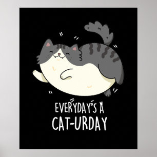 Everyday's A Cat-urday Funny Cat Pun Poster