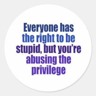 Everyone has the right to be stupid classic round sticker