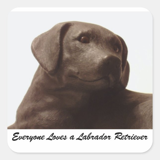 Everyone Loves a Labrador Retriever Square Sticker (Front)