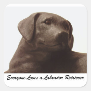 Everyone Loves a Labrador Retriever Square Sticker