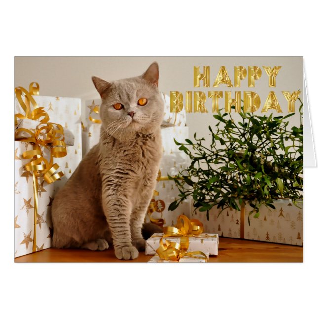 Everyone loves gifts (Front Horizontal)