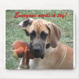 Everyone needs a toy! mouse mat