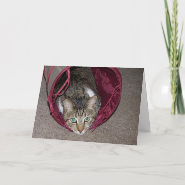 Everything Happy Card (Front)