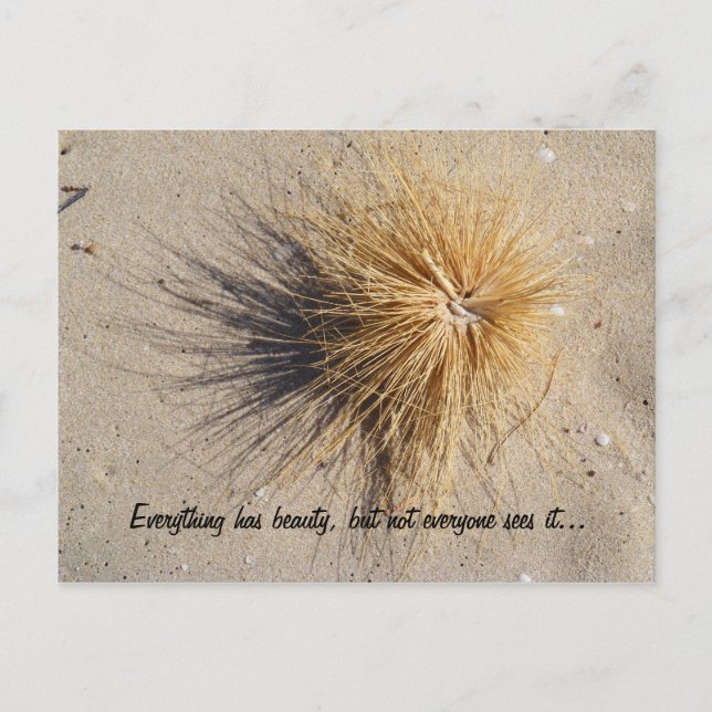 Everything has beauty, but not everyo... postcard (Front)
