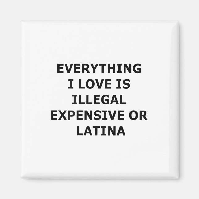 Everything I Love Is Illegal Expensive Or Latina ( Magnet (Front)