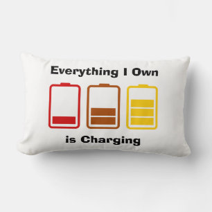 Everything I Own is Charging Lumbar Cushion