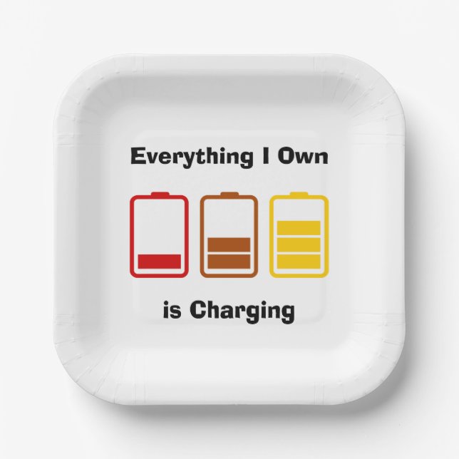 Everything I Own is Charging Paper Plate (Front)