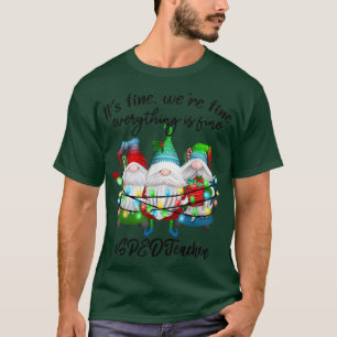 Everything Is Fine Special Education SPED Teacher T-Shirt