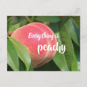 Everything Is Peachy // Peach Postcard