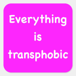 Everything is transphobic square sticker