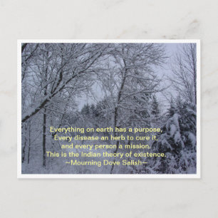 Everything On Earth Postcard