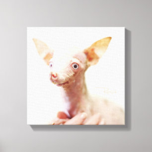Everything Rosie Photo Canvas