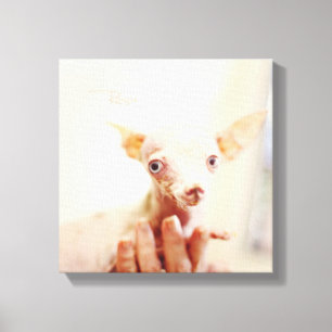 Everything Rosie Photo Canvas Print