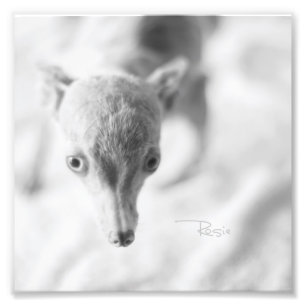 Everything Rosie Photo Print