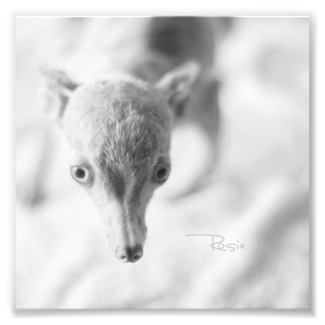 Everything Rosie Photo Print (Front)