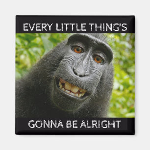 Everything's Alright Monkey Magnet