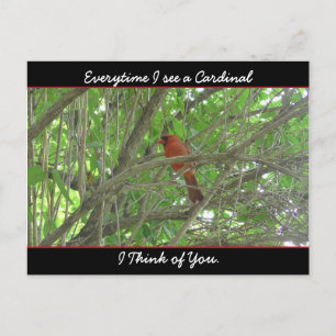 Everytime I see a Cardinal I think of You Postcard