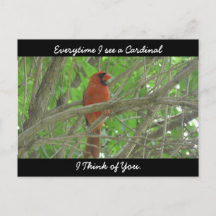 Everytime I see a Cardinal I think of You Postcard