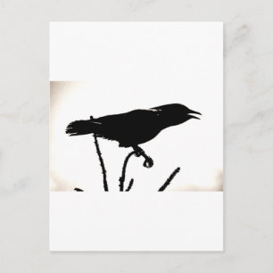 Everywhere Is Your Stage Postcard