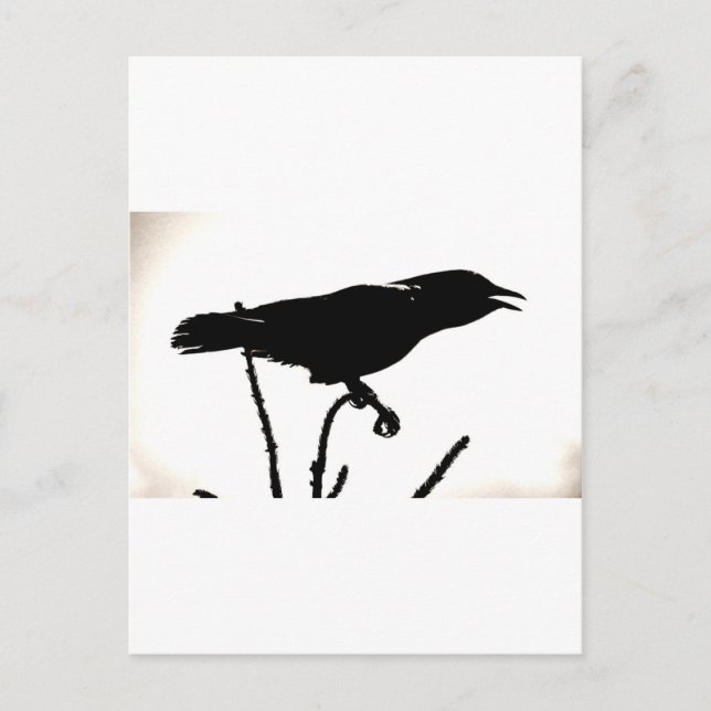 Everywhere Is Your Stage Postcard (Front)