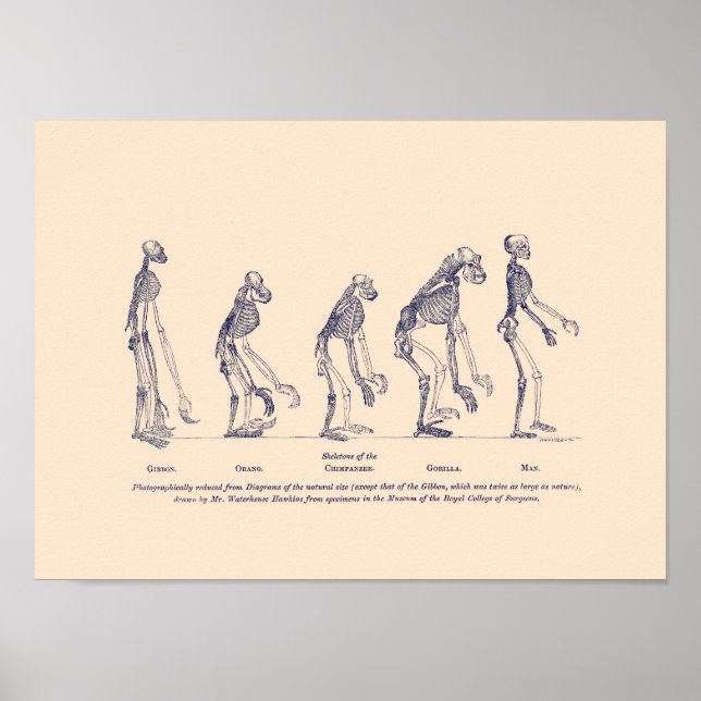 Evidence as to Man’s Place in Nature Poster (Front)