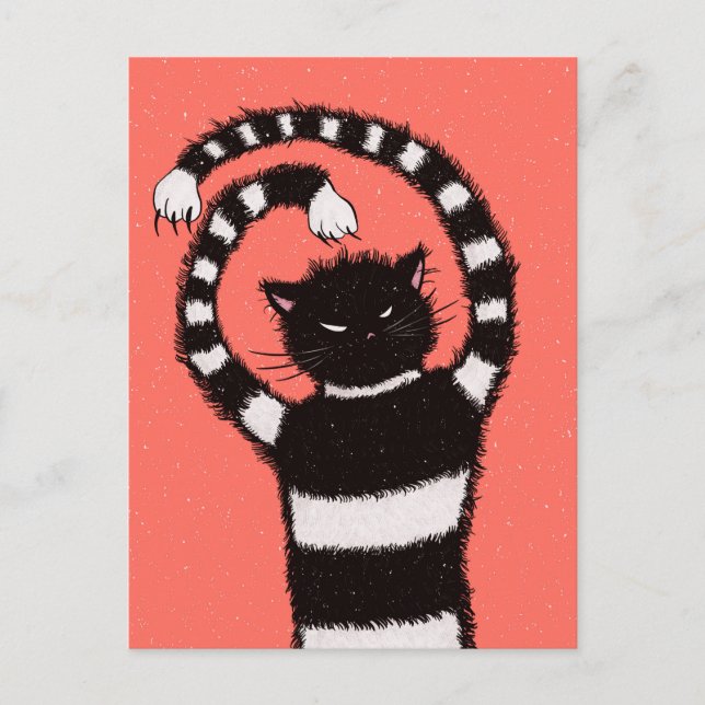 Evil Cat Winter Snowflakes Postcard (Front)