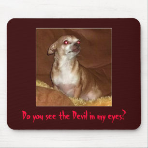 Evil Chihuahua Mousepad