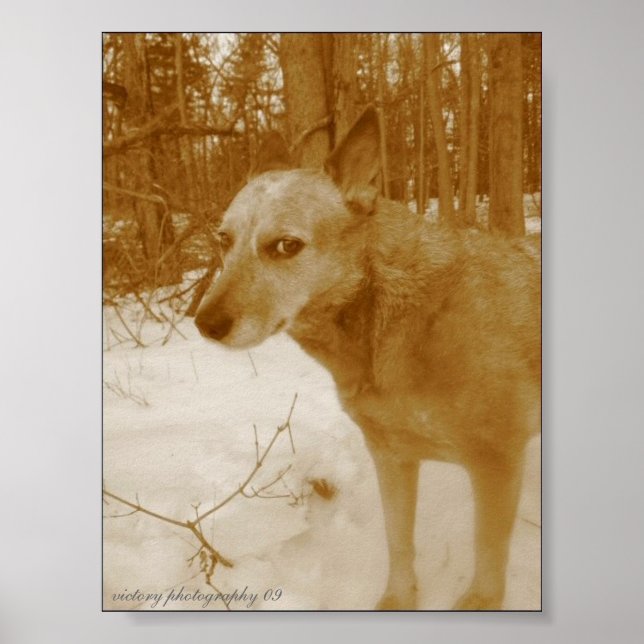 Evil Eye Print (Front)