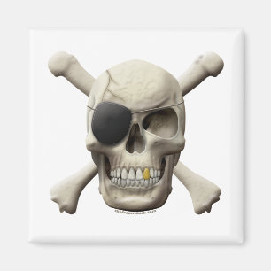 Evil Pirate Skull & Crossbones Magnet