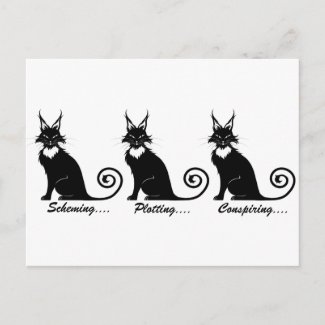 Evil Plotting Cat Trio