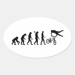 Evolution BMX Oval Sticker