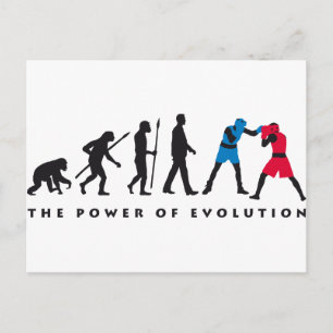 evolution box sport postcard
