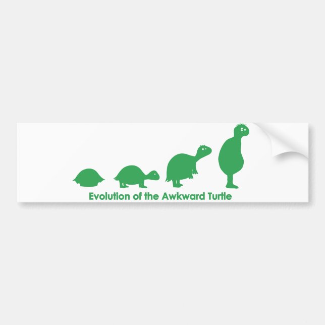 Evolution Bumper Sticker (Front)
