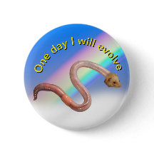 Evolution button