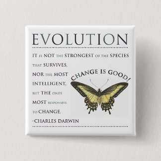 Evolution Change 15 Cm Square Badge