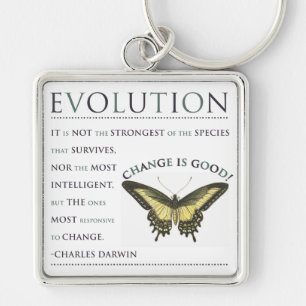 Evolution Change Key Ring