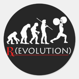 Evolution Chart Sticker