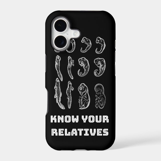 Evolution Embryogenesis (Back)