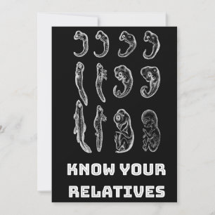 Evolution Embryogenesis Holiday Card